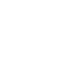 25 year logo white